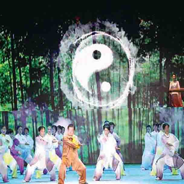 大型傳統(tǒng)武術(shù)表演秀-武脈流長